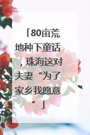 80亩荒地种下童话,珠海这对夫妻“为了家乡我愿意”