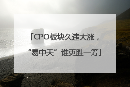 CPO板块久违大涨，“易中天”谁更胜一筹