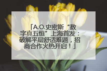 A.O.史密斯“数字真五恒”上海首发：破解平层舒适难题，招商合作火热开启！
