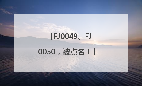 FJ0049、FJ0050，被点名！