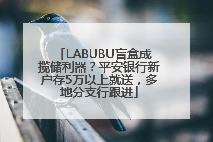 LABUBU盲盒成揽储利器？平安银行新户存5万以上就送，多地分支行跟进